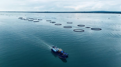 <strong>齐心建粮安 广东省属企业以实干护好群众</strong>